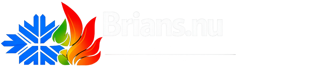 Brians.nu banner